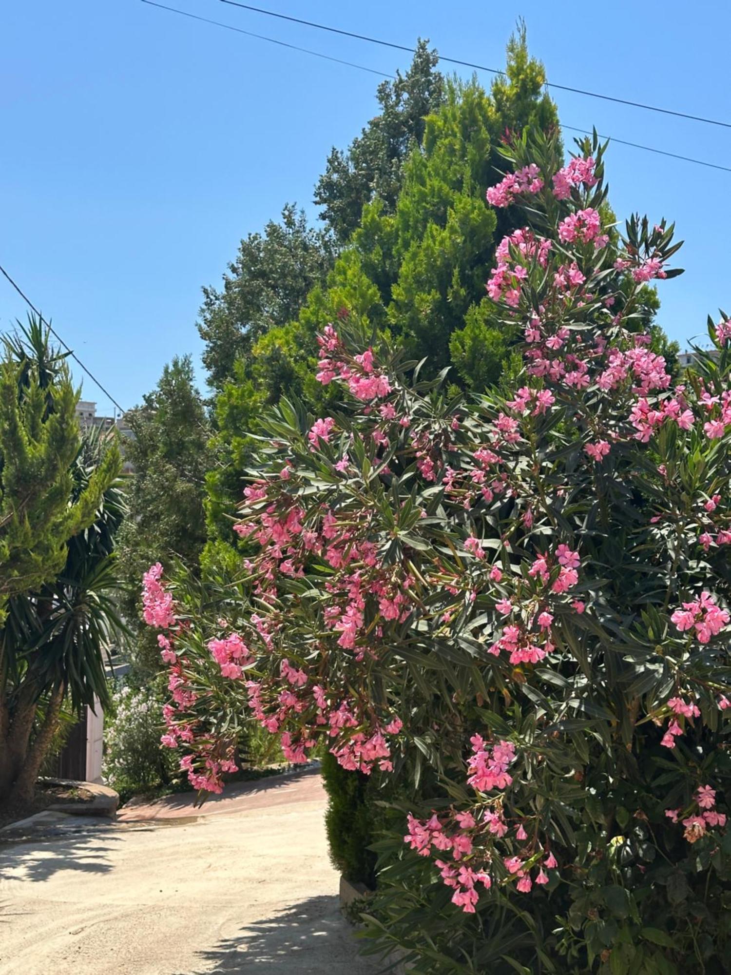 Panoramic Views Of Saranda Sarandë Exterior foto